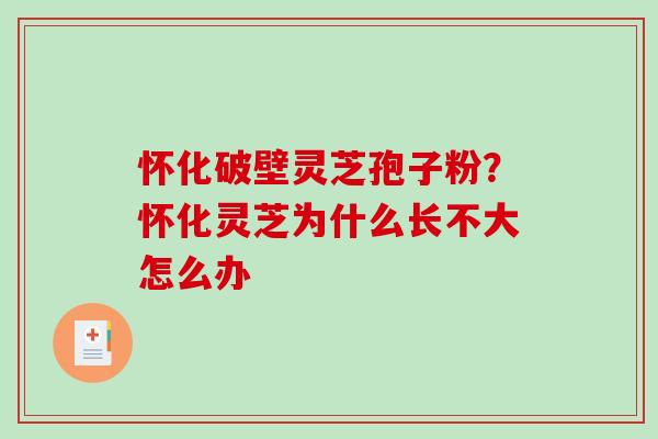 怀化破壁灵芝孢子粉？怀化灵芝为什么长不大怎么办