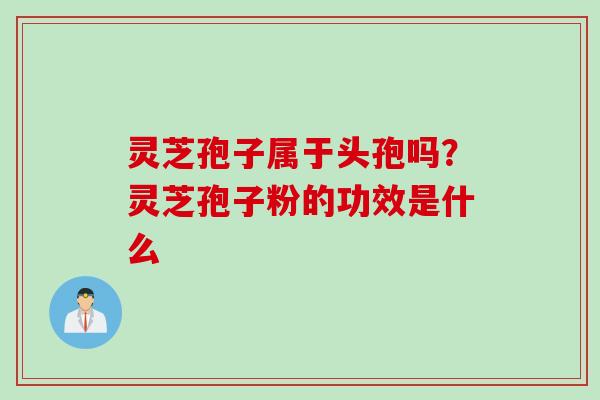 灵芝孢子属于头孢吗？灵芝孢子粉的功效是什么