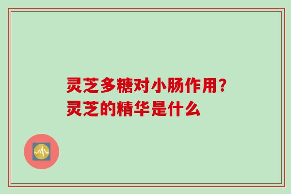 灵芝多糖对小肠作用？灵芝的精华是什么
