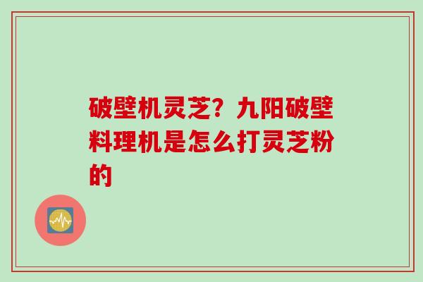 破壁机灵芝？九阳破壁料理机是怎么打灵芝粉的