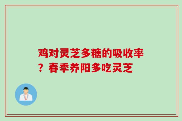 鸡对灵芝多糖的吸收率？春季养阳多吃灵芝