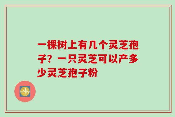 一棵树上有几个灵芝孢子？一只灵芝可以产多少灵芝孢子粉