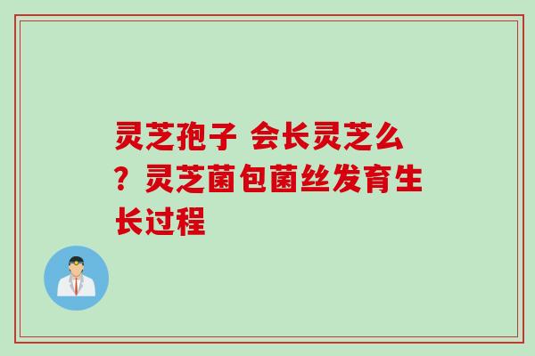 灵芝孢子 会长灵芝么？灵芝菌包菌丝发育生长过程