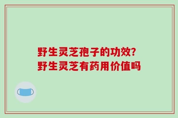 野生灵芝孢子的功效？野生灵芝有药用价值吗