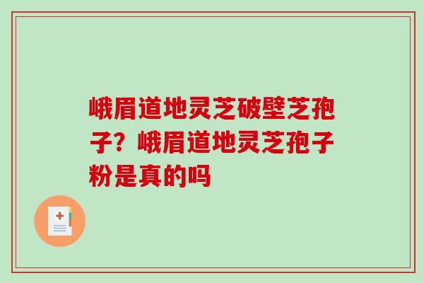 峨眉道地灵芝破壁芝孢子？峨眉道地灵芝孢子粉是真的吗
