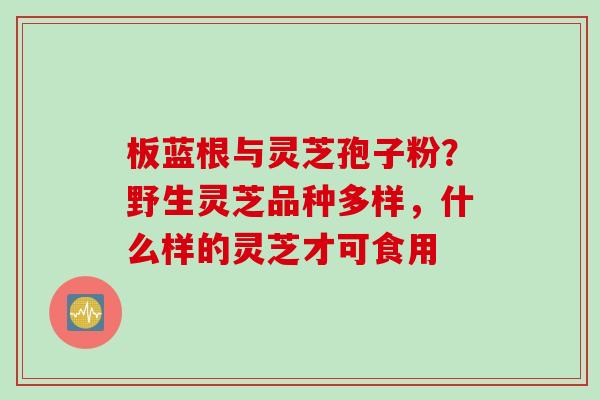 板蓝根与灵芝孢子粉？野生灵芝品种多样，什么样的灵芝才可食用