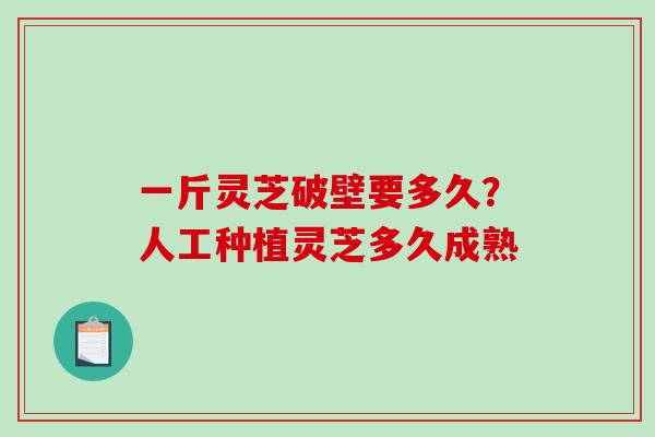 一斤灵芝破壁要多久？人工种植灵芝多久成熟
