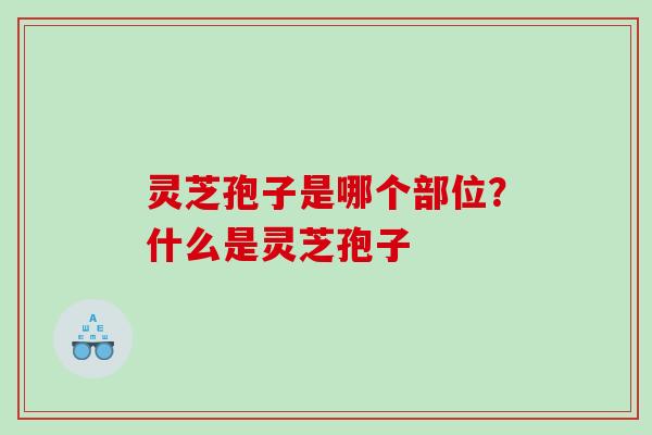 灵芝孢子是哪个部位？什么是灵芝孢子