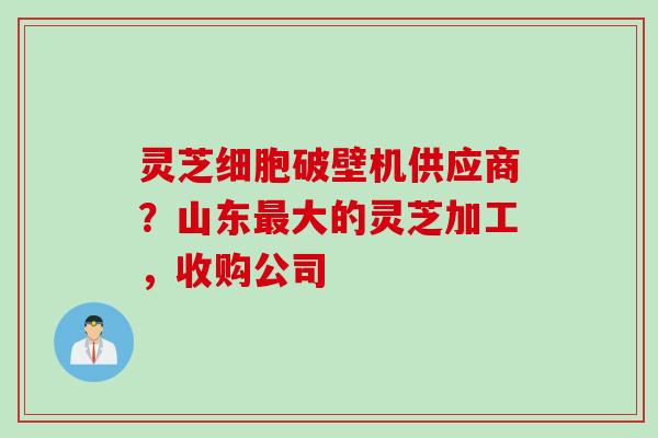 灵芝细胞破壁机供应商？山东最大的灵芝加工，收购公司