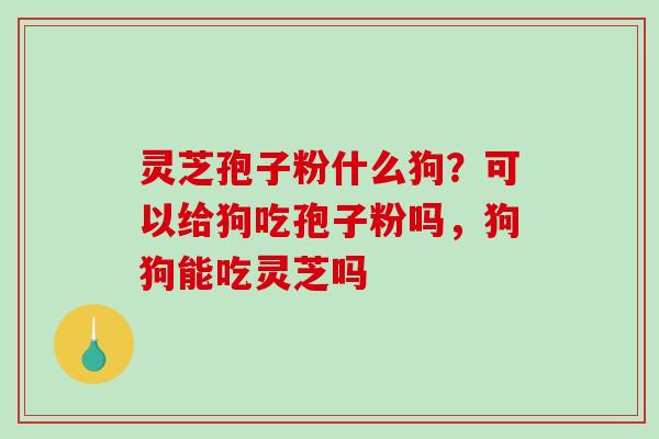 灵芝孢子粉什么狗？可以给狗吃孢子粉吗，狗狗能吃灵芝吗