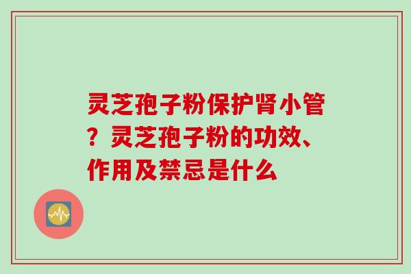 灵芝孢子粉保护肾小管？灵芝孢子粉的功效、作用及禁忌是什么