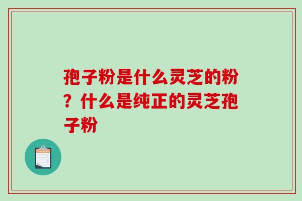 孢子粉是什么灵芝的粉？什么是纯正的灵芝孢子粉