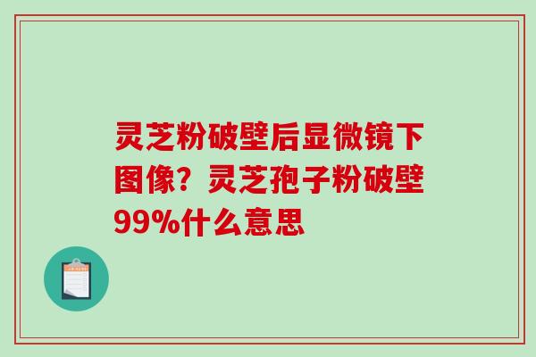 灵芝粉破壁后显微镜下图像？灵芝孢子粉破壁99%什么意思