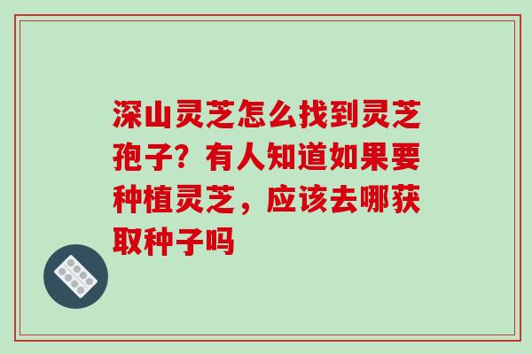 深山灵芝怎么找到灵芝孢子？有人知道如果要种植灵芝，应该去哪获取种子吗