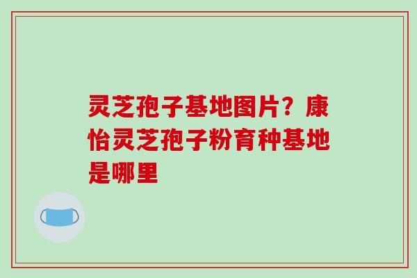 灵芝孢子基地图片？康怡灵芝孢子粉育种基地是哪里