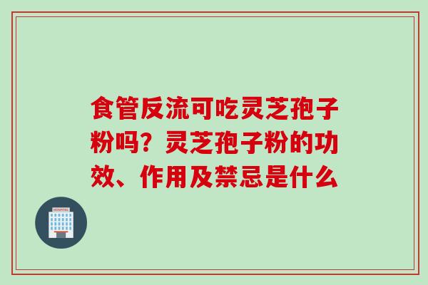 食管反流可吃灵芝孢子粉吗？灵芝孢子粉的功效、作用及禁忌是什么