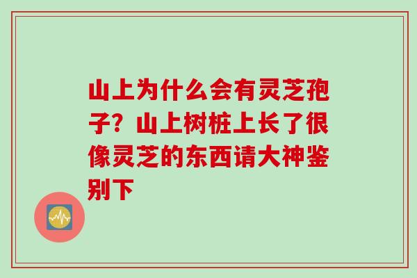 山上为什么会有灵芝孢子？山上树桩上长了很像灵芝的东西请大神鉴别下