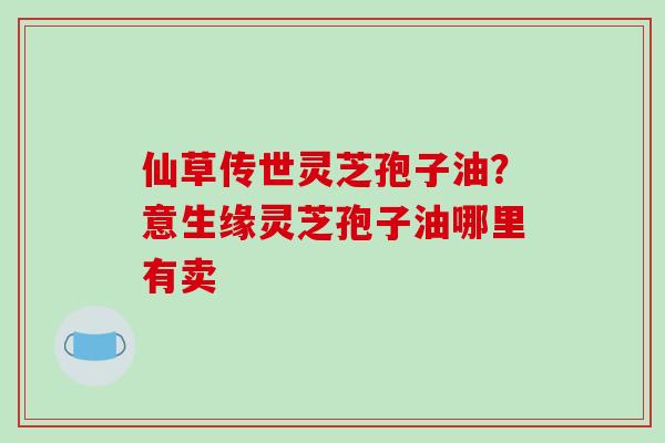 仙草传世灵芝孢子油？意生缘灵芝孢子油哪里有卖