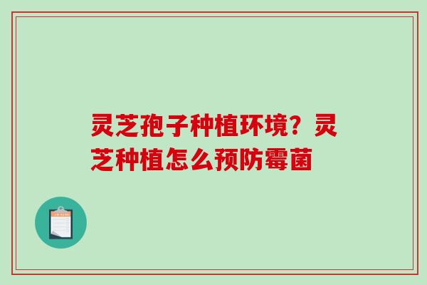 灵芝孢子种植环境？灵芝种植怎么预防霉菌
