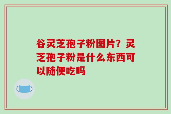 谷灵芝孢子粉图片？灵芝孢子粉是什么东西可以随便吃吗