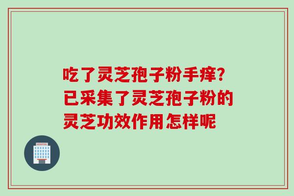吃了灵芝孢子粉手痒？已采集了灵芝孢子粉的灵芝功效作用怎样呢