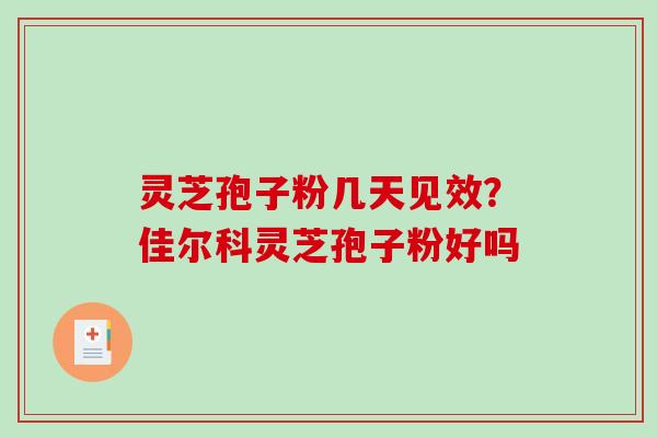 灵芝孢子粉几天见效？佳尔科灵芝孢子粉好吗