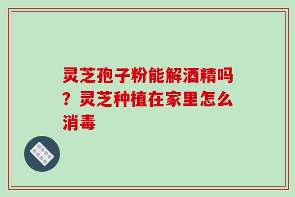 灵芝孢子粉能解酒精吗？灵芝种植在家里怎么消毒