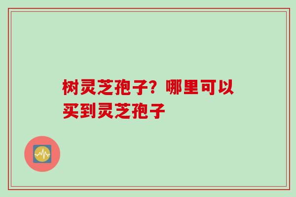 树灵芝孢子？哪里可以买到灵芝孢子
