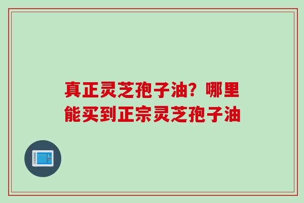 真正灵芝孢子油？哪里能买到正宗灵芝孢子油