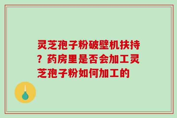 灵芝孢子粉破壁机扶持？药房里是否会加工灵芝孢子粉如何加工的