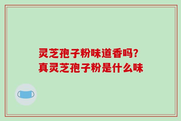 灵芝孢子粉味道香吗？真灵芝孢子粉是什么味