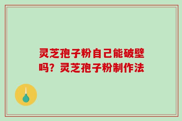 灵芝孢子粉自己能破壁吗？灵芝孢子粉制作法