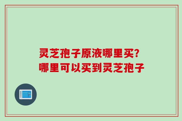 灵芝孢子原液哪里买？哪里可以买到灵芝孢子