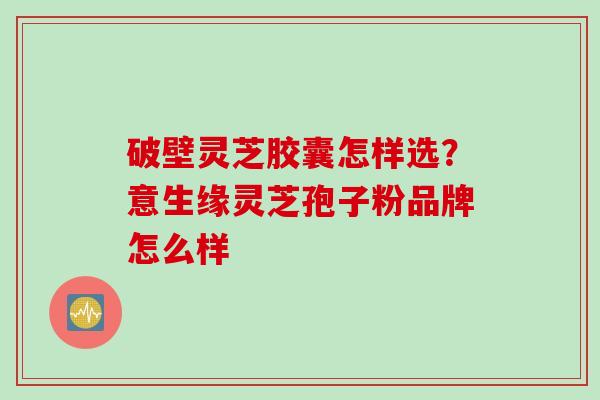 破壁灵芝胶囊怎样选？意生缘灵芝孢子粉品牌怎么样
