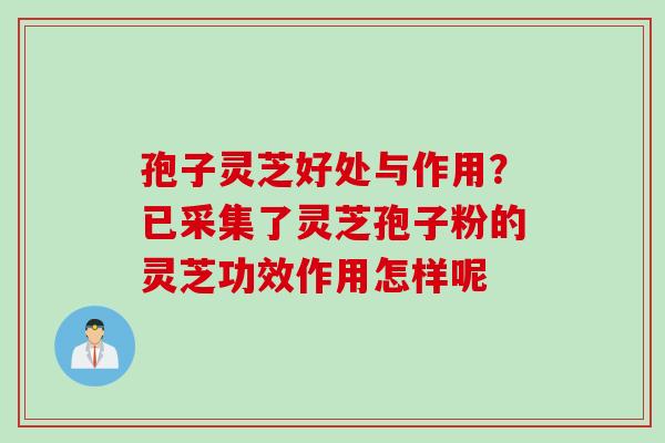 孢子灵芝好处与作用？已采集了灵芝孢子粉的灵芝功效作用怎样呢