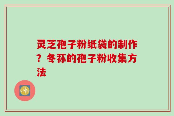 灵芝孢子粉纸袋的制作？冬荪的孢子粉收集方法