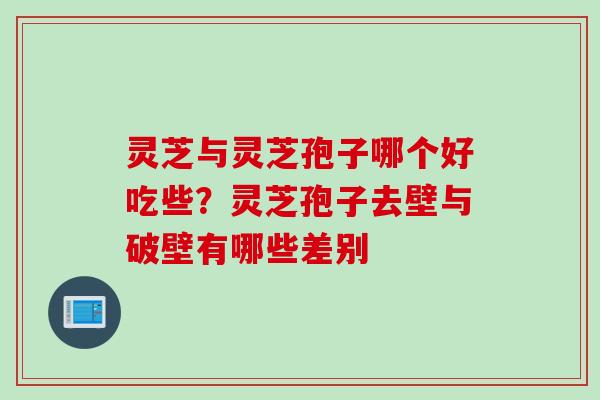 灵芝与灵芝孢子哪个好吃些？灵芝孢子去壁与破壁有哪些差别