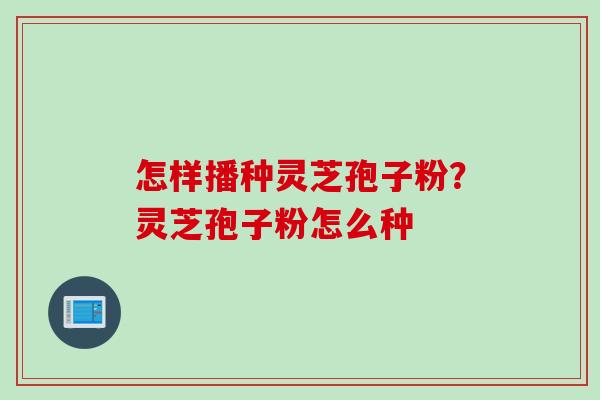 怎样播种灵芝孢子粉？灵芝孢子粉怎么种