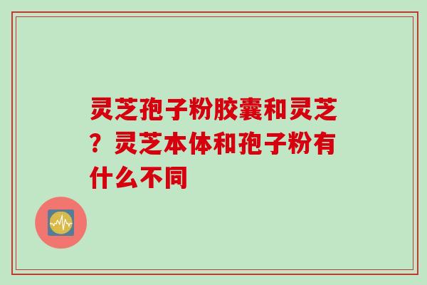 灵芝孢子粉胶囊和灵芝？灵芝本体和孢子粉有什么不同