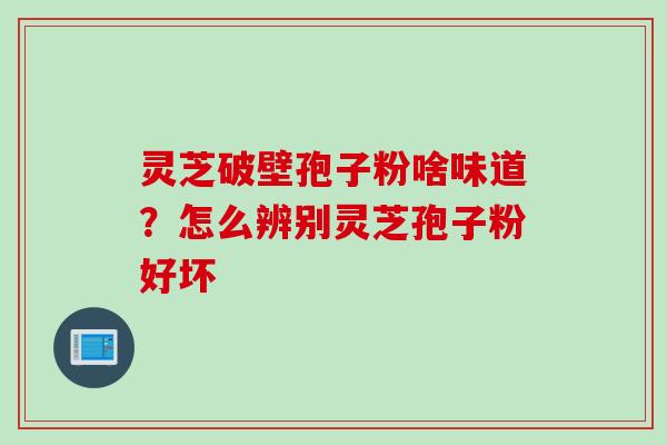 灵芝破壁孢子粉啥味道？怎么辨别灵芝孢子粉好坏