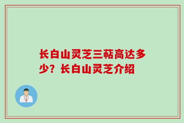 长白山灵芝三萜高达多少？长白山灵芝介绍