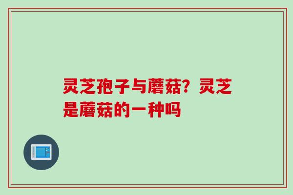 灵芝孢子与蘑菇？灵芝是蘑菇的一种吗