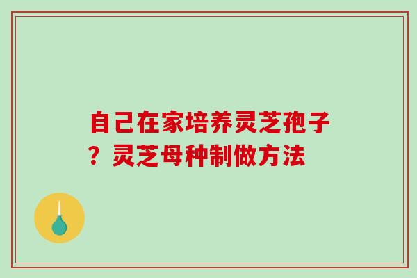 自己在家培养灵芝孢子？灵芝母种制做方法