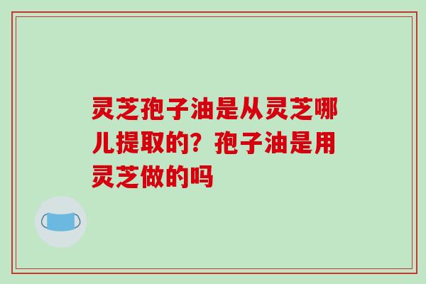 灵芝孢子油是从灵芝哪儿提取的？孢子油是用灵芝做的吗
