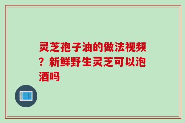 灵芝孢子油的做法视频？新鲜野生灵芝可以泡酒吗