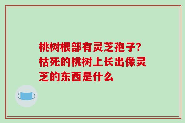 桃树根部有灵芝孢子？枯死的桃树上长出像灵芝的东西是什么