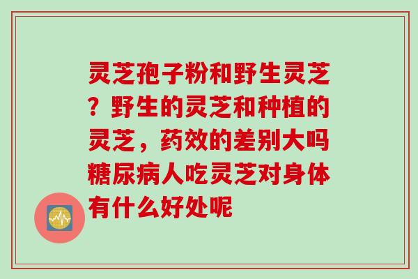 灵芝孢子粉和野生灵芝？野生的灵芝和种植的灵芝，药效的差别大吗糖尿病人吃灵芝对身体有什么好处呢
