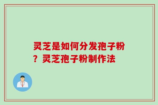 灵芝是如何分发孢子粉?灵芝孢子粉制作法 灵芝是如何分发孢子粉?灵芝孢子粉制作法
