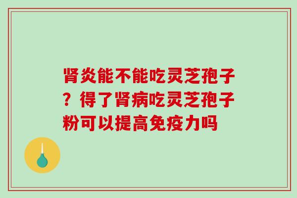 肾炎能不能吃灵芝孢子？得了肾病吃灵芝孢子粉可以提高免疫力吗