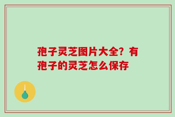 孢子灵芝图片大全？有孢子的灵芝怎么保存